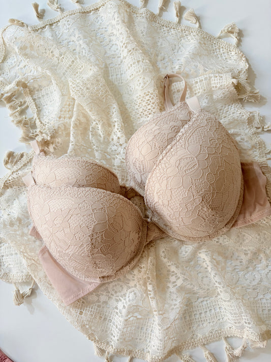 Eva lace push up bra