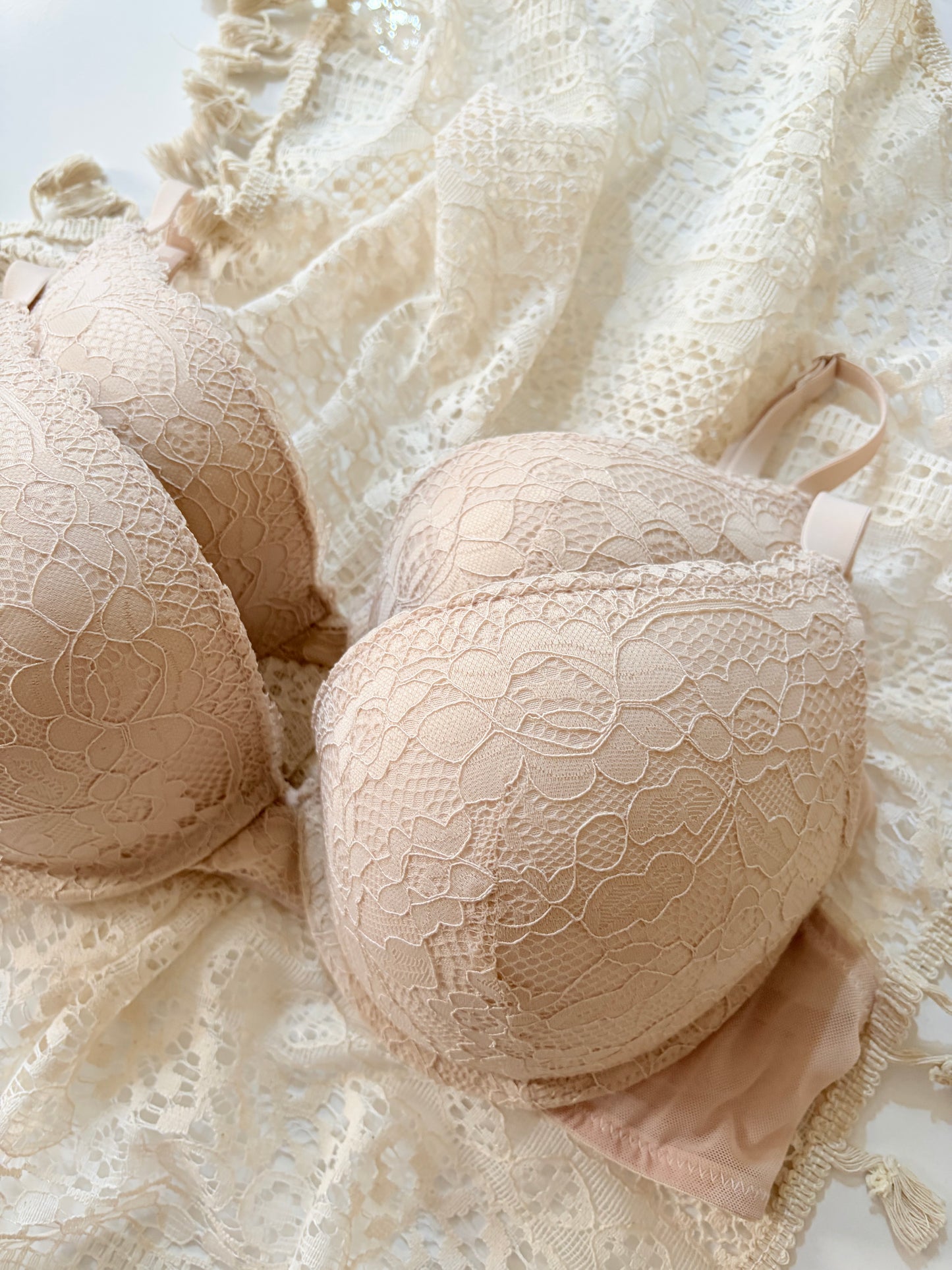 Eva lace push up bra